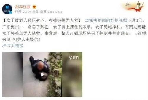 广东男子爆料新闻视频,揭露惊人真相！