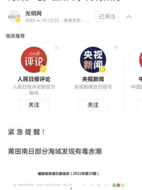 近日新闻最新头条,重磅！最新头条揭示重大事件进展