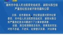 潮州骗局爆料新闻,揭秘背后惊人真相，受害者血泪控诉