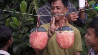 外国恶心吃瓜视频,那些让你瞠目结舌的恶心吃瓜视频