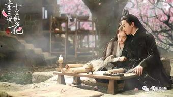 乐视头条桌面,打造个性化资讯体验的智能平台