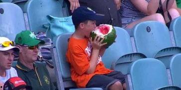 澳洲吃瓜群众,揭秘娱乐圈背后的那些事儿