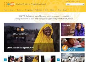 印度五兄弟头条号视频,异国他乡的温馨日常与挑战