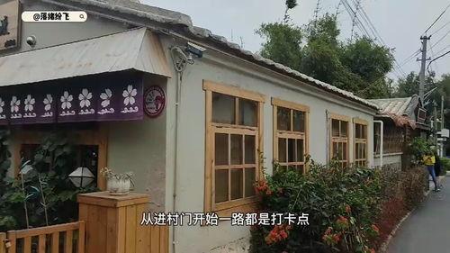 网红流下村,流下村的蜕变之路