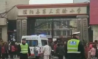 濮阳县吃瓜事件,一场网络热议背后的真相探寻