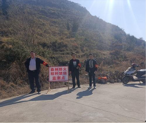 云南镇宁双龙山新闻头条,山体滑坡紧急救援行动展开