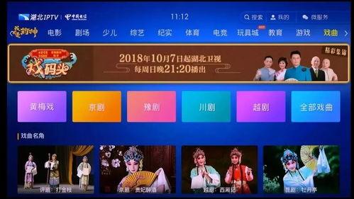 湖北电视台直播在线观看,实时掌握湖北新闻动态