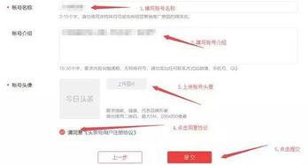 开通头条视频怎么认证,开启内容创作新篇章