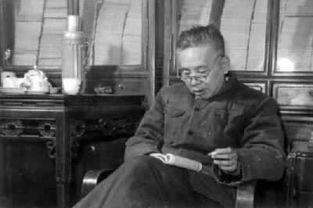 网红张天翼,网红界的多面手，揭秘他的魅力人生