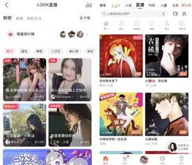 头条我打赏的人怎么找,揭秘如何快速找到您的心仪打赏对象