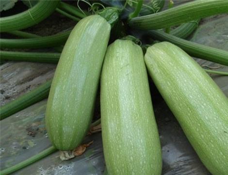 反向吃瓜的好处,解锁不一样的娱乐视角