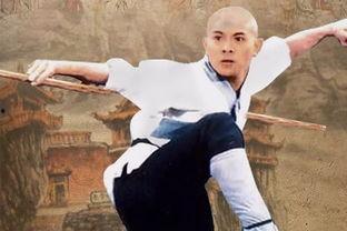 少林功夫明星,明星风采与武术精神