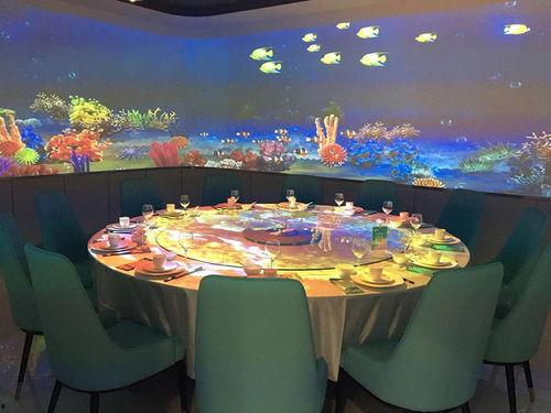 甘肃网红投影,揭秘丝绸之路上的光影传奇