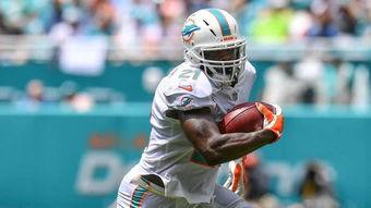 海豚队明星跑卫,速度与激情的完美演绎