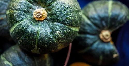 胖飞吃瓜,揭秘娱乐圈那些不为人知的幕后故事