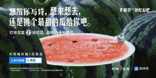 吃瓜结婚文案,一场别开生面的“吃瓜结婚”盛宴