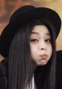 明星丑事范冰冰