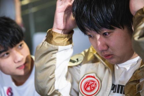 明星什么鹏,揭秘“鹏”字辈明星的璀璨人生