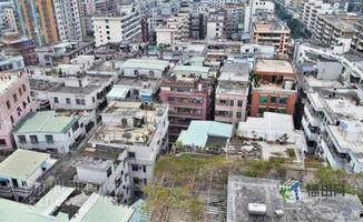 鹏城县云集镇新闻头条,聚焦乡村振兴，共绘美好家园新画卷